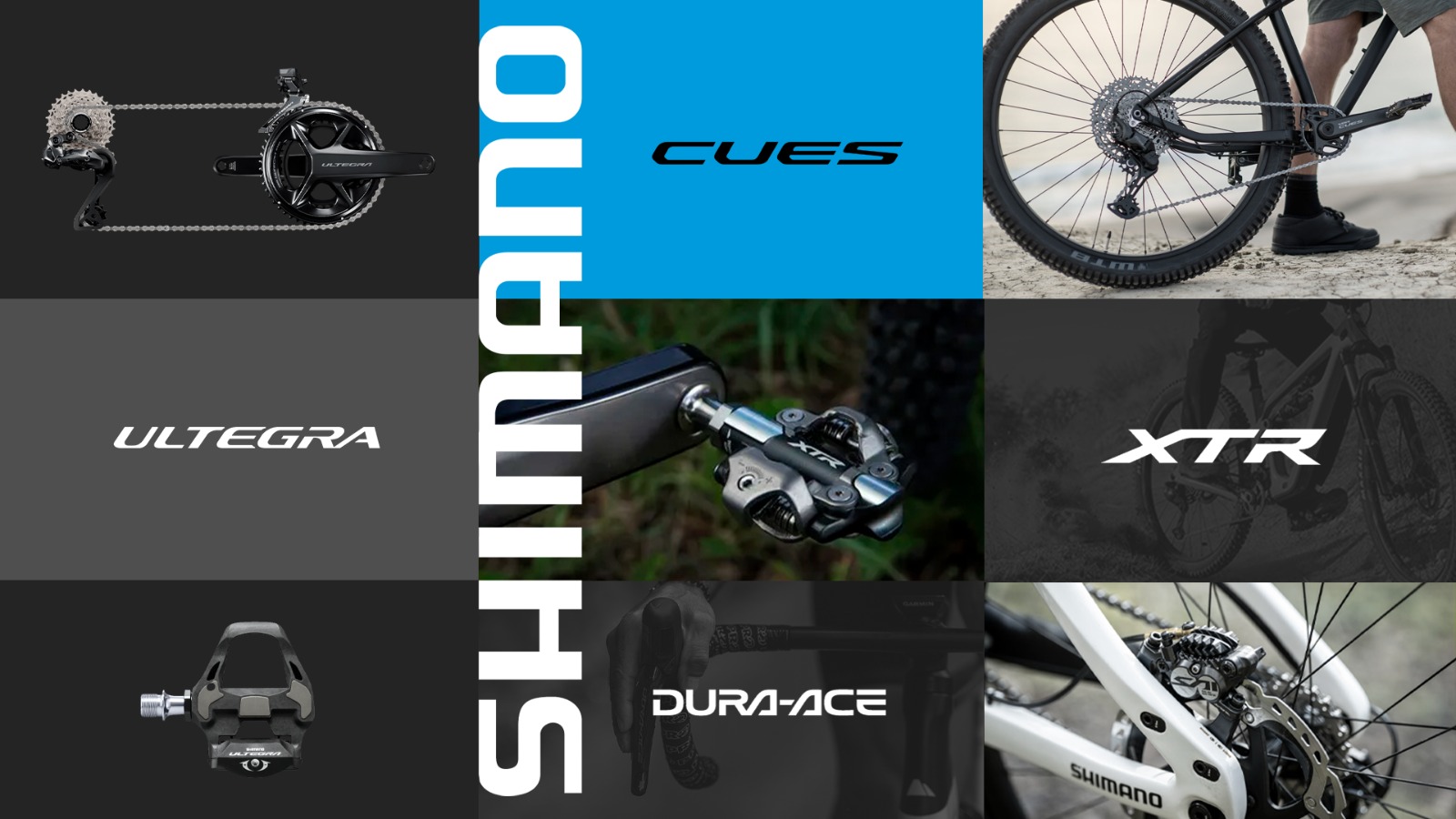 Banner_Shimano